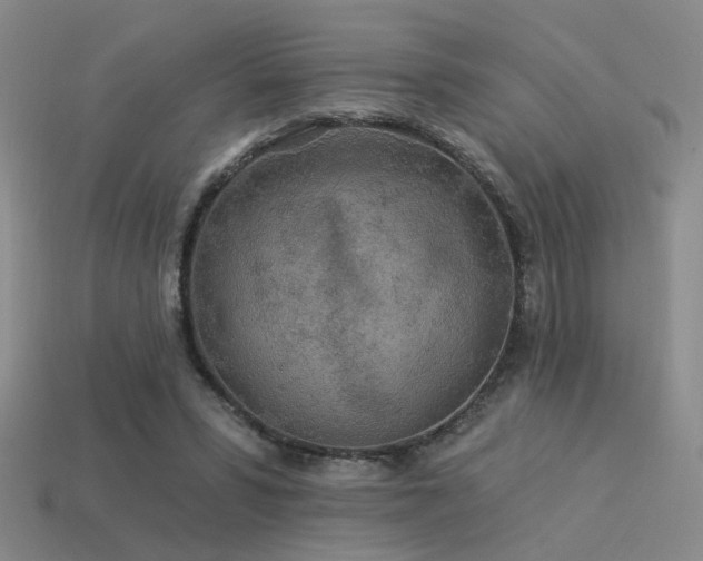 X0000113530399200909181139