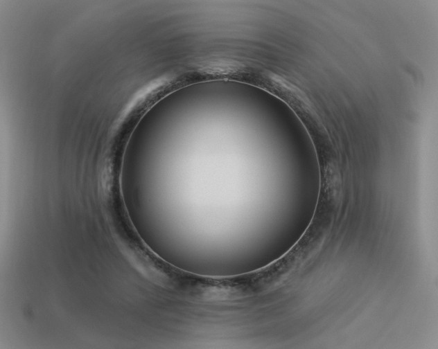 X0000113530400200909181139