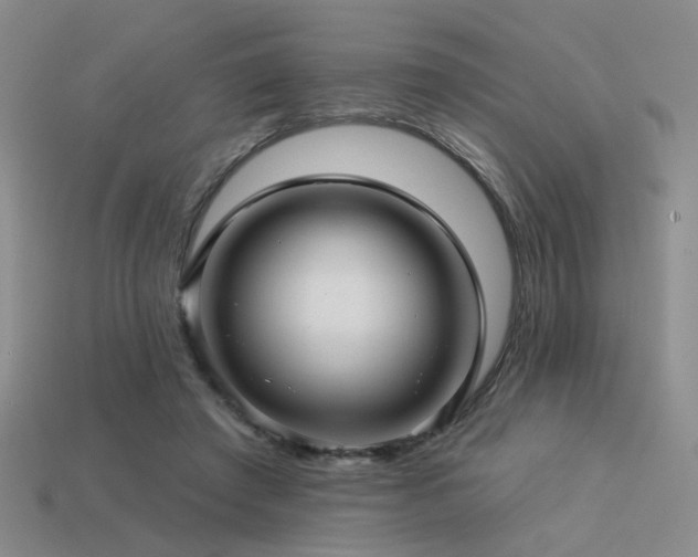 X0000113530401200909181139