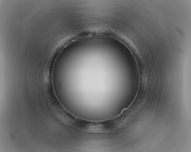 X0000113530403200909181139