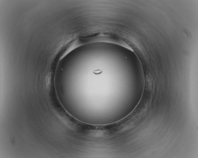 X0000113530404200909181139