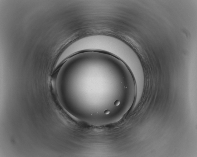 X0000113530405200909181139