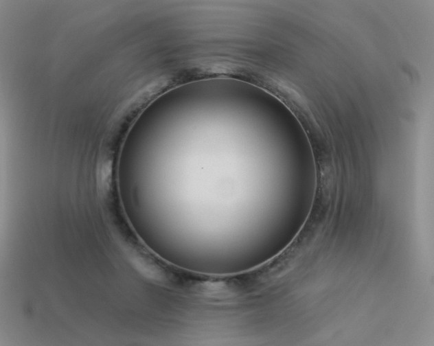 X0000113530406200909181139
