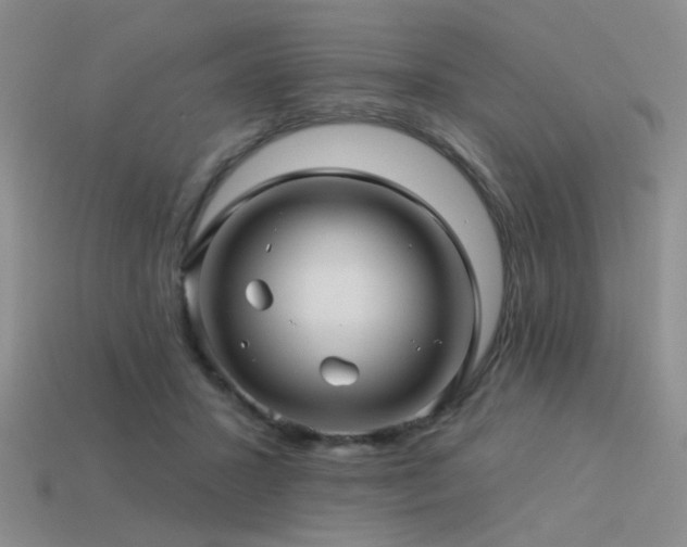 X0000113530407200909181139