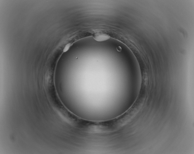 X0000113530408200909181139