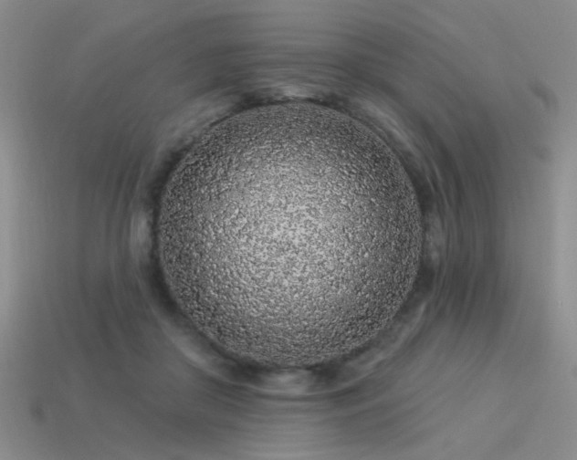 X0000113530410200909181139