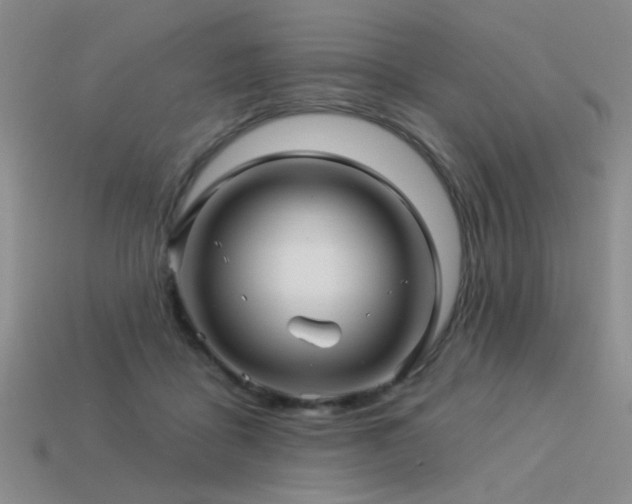 X0000113530411200909181139