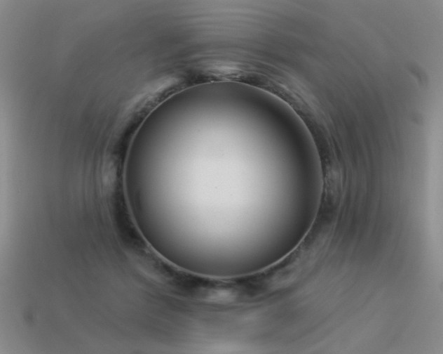 X0000113530412200909181139