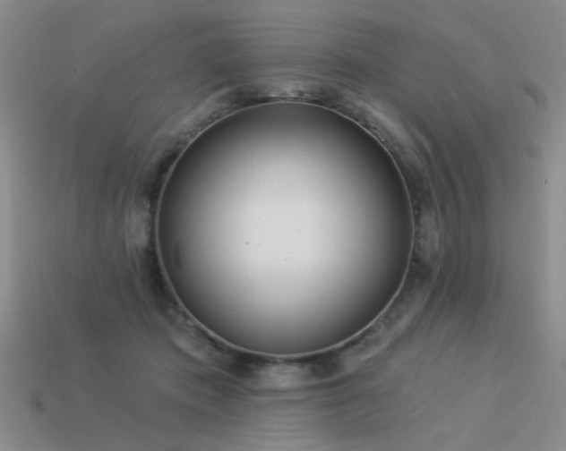 X0000113530413200909181139