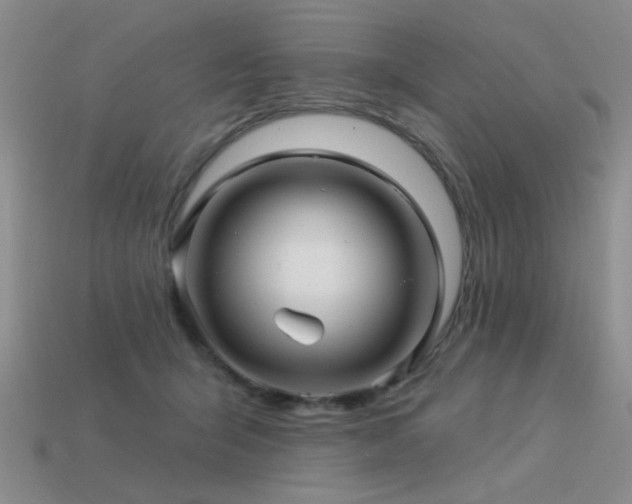 X0000113530415200909181139