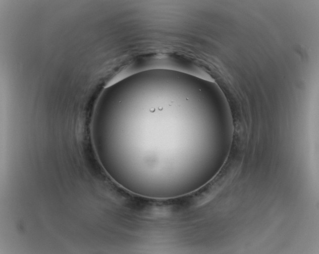 X0000113530416200909181139