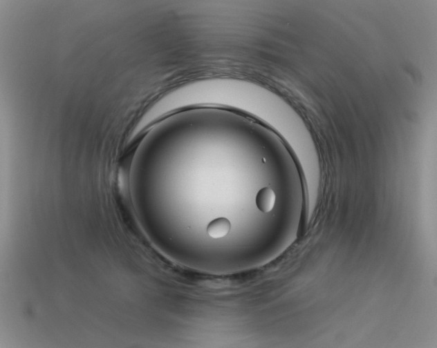 X0000113530417200909181139