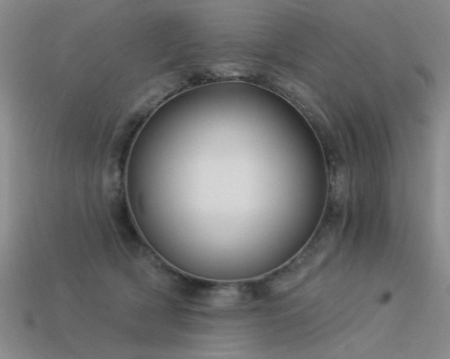 X0000113530418200909181139
