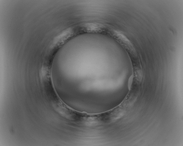 X0000113530419200909181139