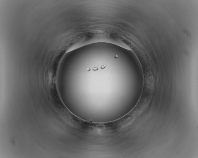X0000113530420200909181139