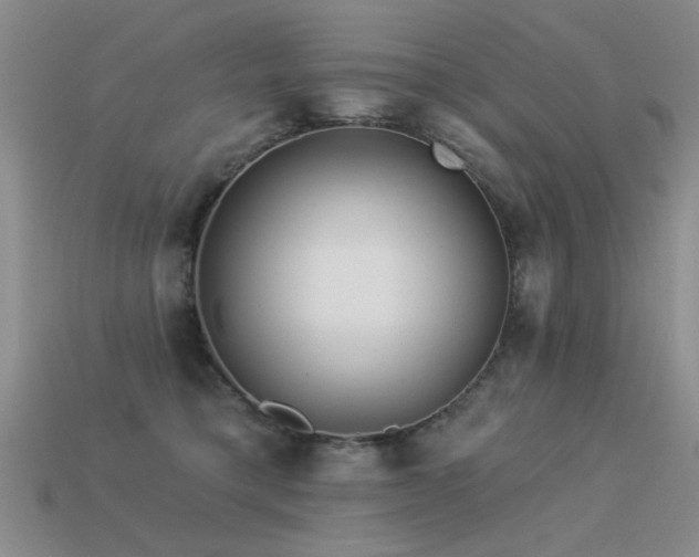X0000113530421200909181139