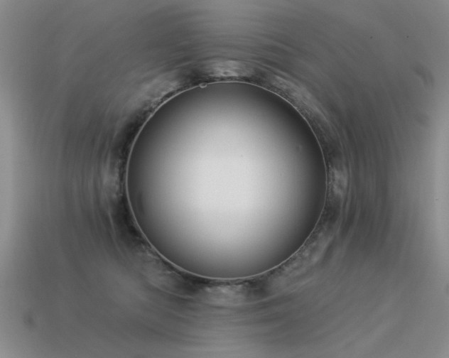 X0000113530422200909181139