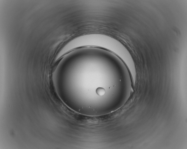 X0000113530423200909181139