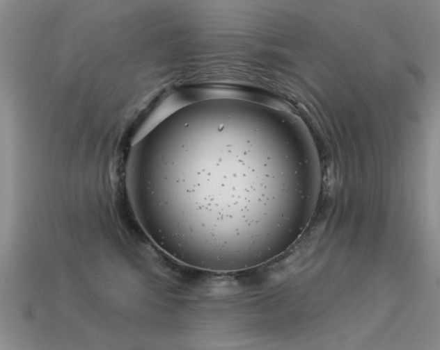 X0000113530424200909181139