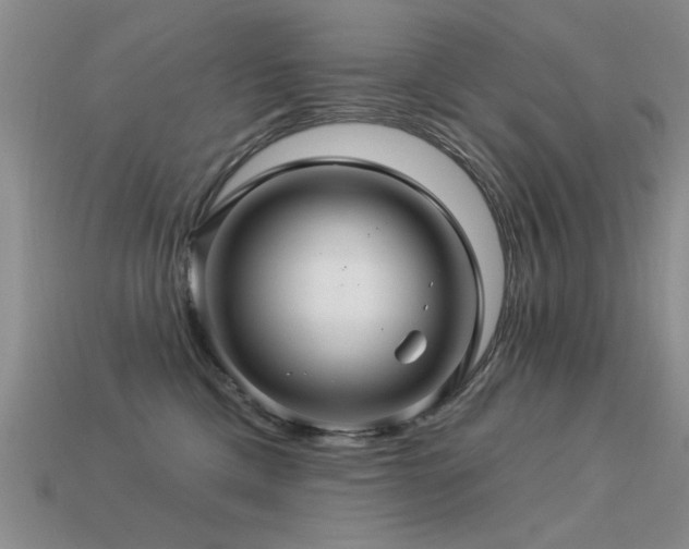 X0000113530425200909181139