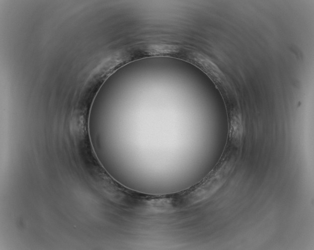 X0000113530426200909181139