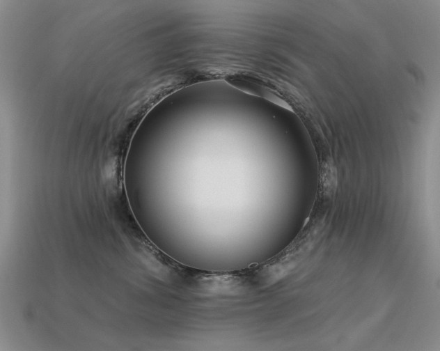 X0000113530428200909181139