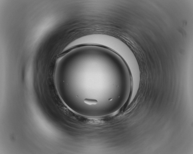 X0000113530429200909181139