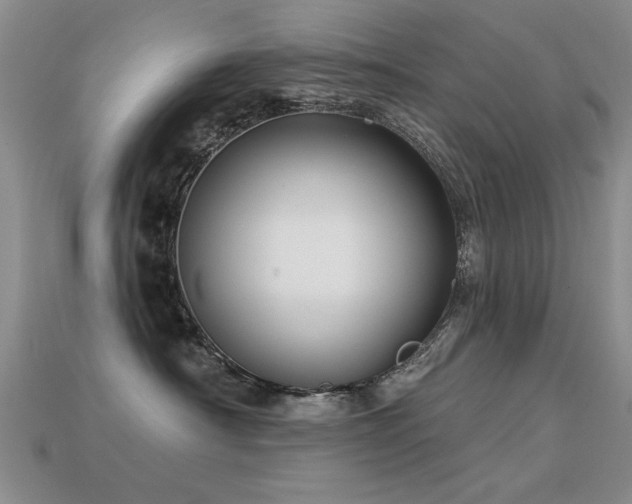 X0000113530430200909181139