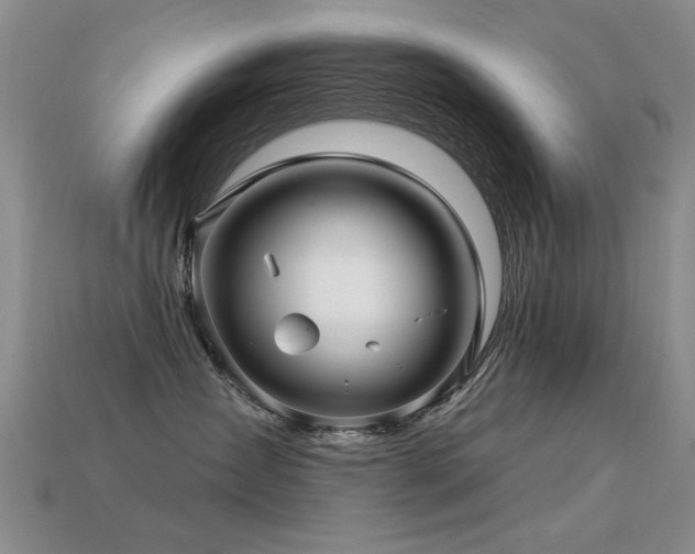 X0000113530431200909181139