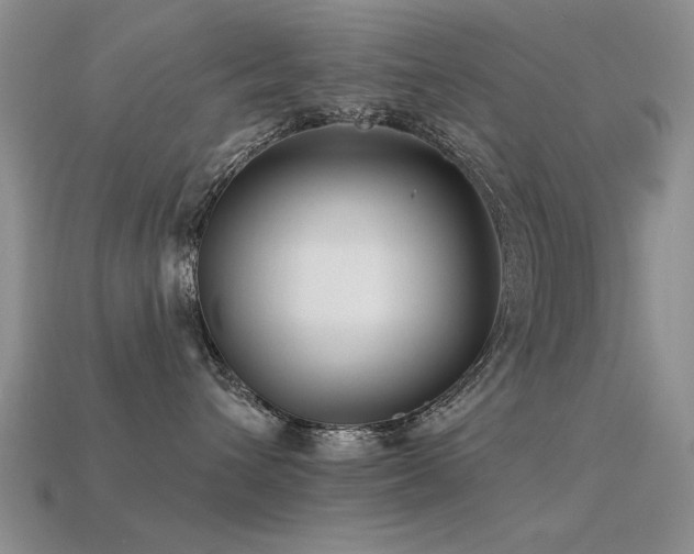 X0000113530432200909181139