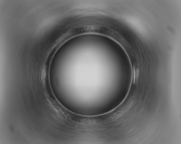 X0000113530435200909181138
