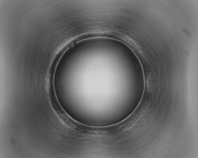X0000113530436200909181138
