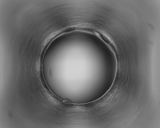 X0000113530437200909181138
