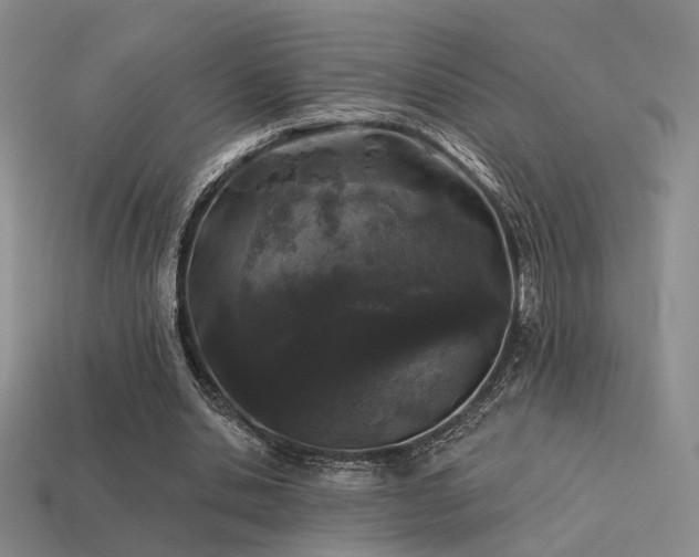 X0000113530438200909181138