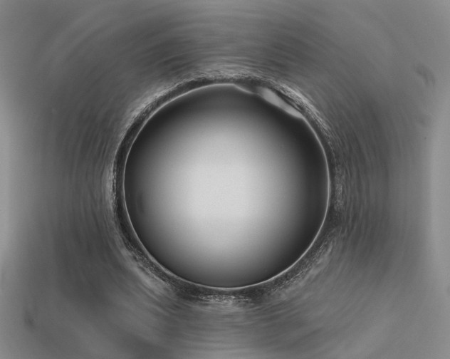 X0000113530439200909181138