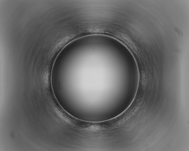 X0000113530441200909181138