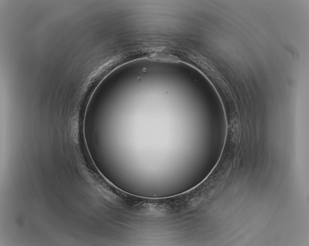 X0000113530442200909181138