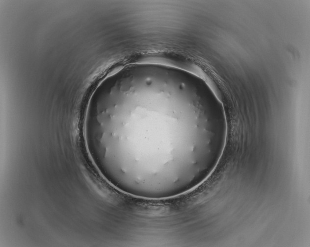 X0000113530443200909181138