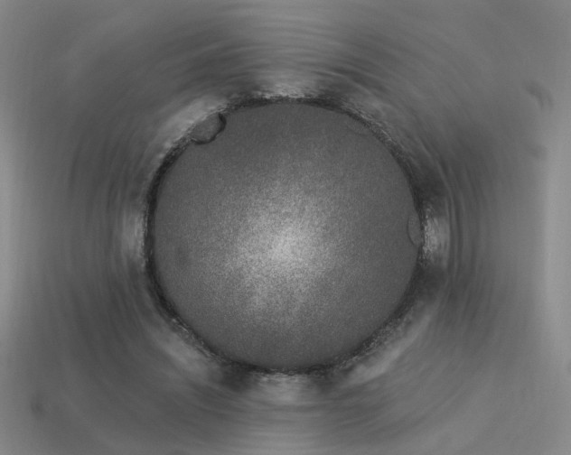 X0000113530444200909181138