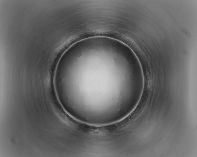 X0000113530447200909181138
