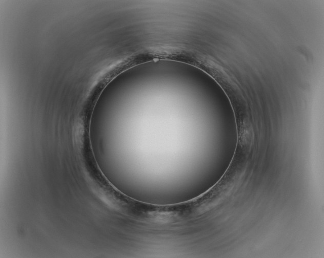 X0000113530448200909181138