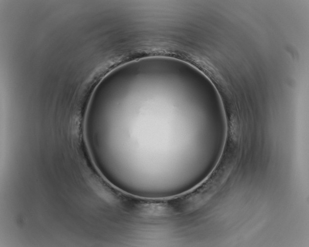 X0000113530449200909181138