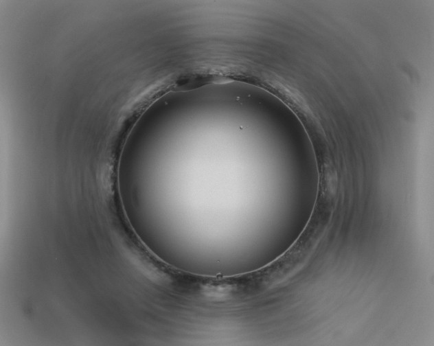 X0000113530450200909181138