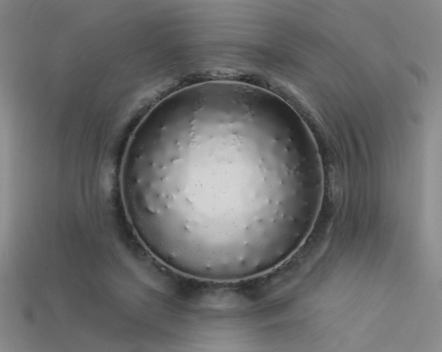 X0000113530451200909181138