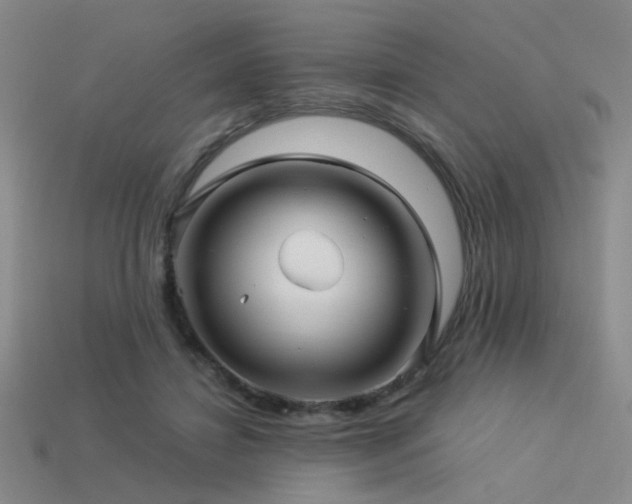 X0000113530452200909181138