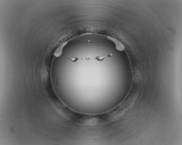 X0000113530456200909181138