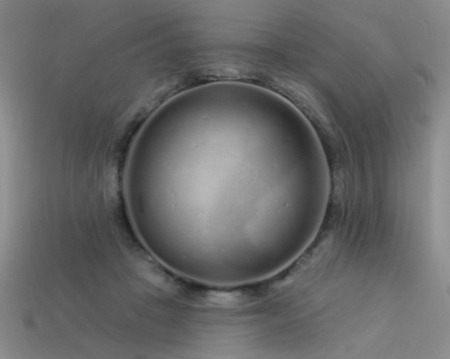 X0000113530457200909181138