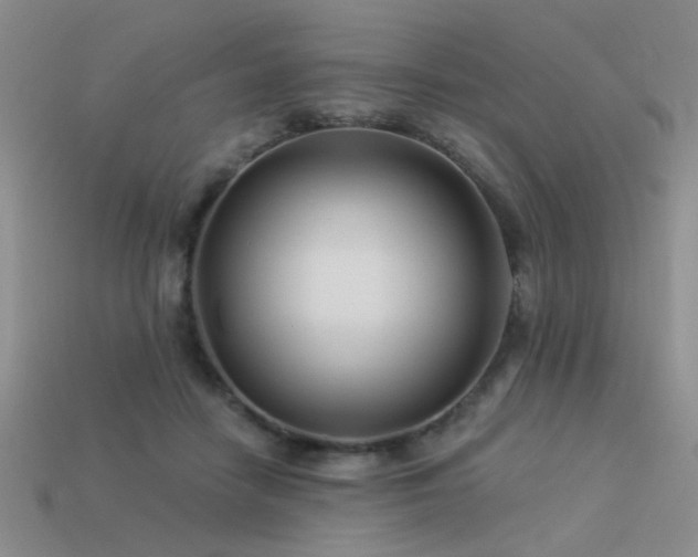 X0000113530458200909181138