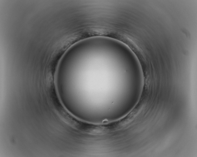 X0000113530459200909181138