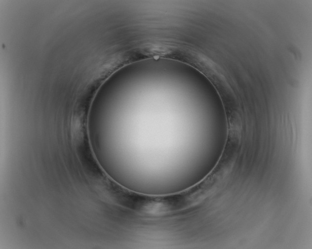 X0000113530460200909181138